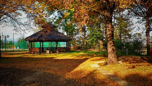 Jesień...#zostanwdomu