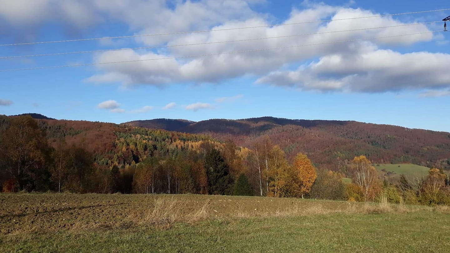 FOTO-grafia DNIA fot. Paweł Bieryt  #zostanwdomu