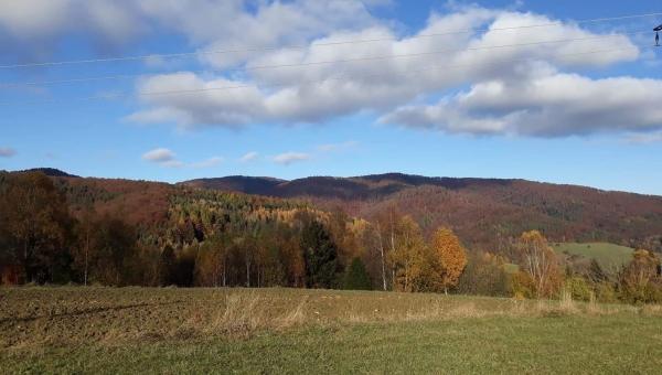 FOTO-grafia DNIA fot. Paweł Bieryt  #zostanwdomu