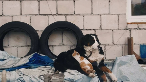 Edycja październikowego konkursu fotograficznego  #zostawdomu