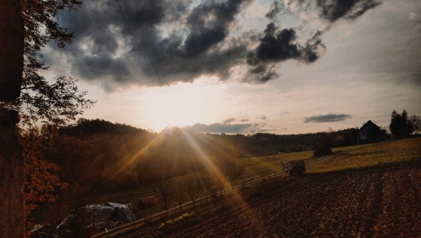 FOTO-grafia DNIA fot. Karolina Dudek #zostanwdomu