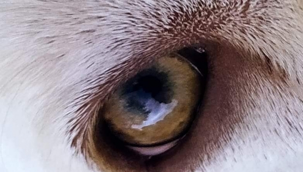 Wybieramy fotografię miesiąca PAŹDZIERNIKA w kategorii "W OBIEKTYWIE RODZICA "