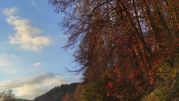 "W obiektywie rodzica" fot.Tadeusz Ryś #zostanwdomu