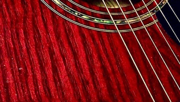 FOTO-grafia DNIA fot. Oliwia Zasadni #zostanwdomu