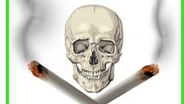 Papieros przyjaciel czy wróg? #zostanwdomu