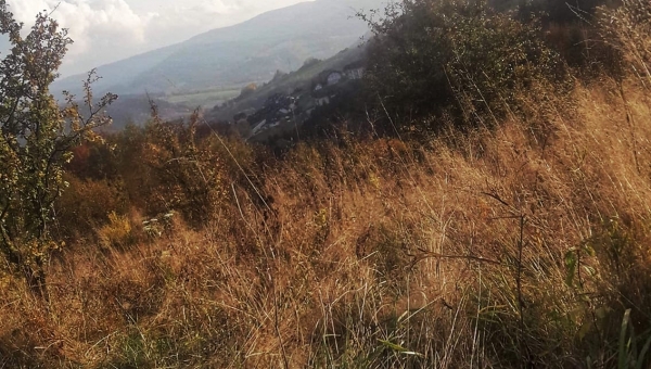 FOTO-grafia DNIA fot. Wiktor Smyda #zostanwdomu