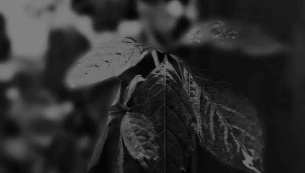 FOTO-grafia DNIA  fot Tadeusz Ryś #zostanwdomu