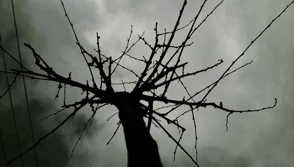 Wyniki w konkursie fotograficznym na najlepsze zdjęcia miesiąca edycja PAŹDZIERNIK