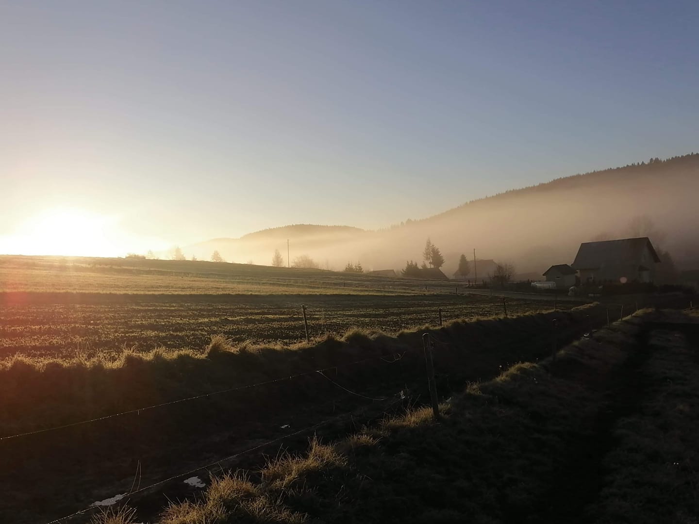 FOTO-grafia DNIA fot. Ryszard Gałęziowski #zostanwdomu