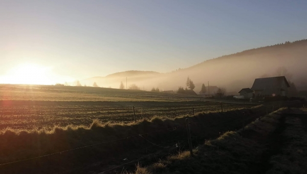 FOTO-grafia DNIA fot. Ryszard Gałęziowski #zostanwdomu