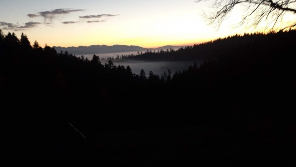 FOTO-grafia DNIA fot Sylwia Kuchta