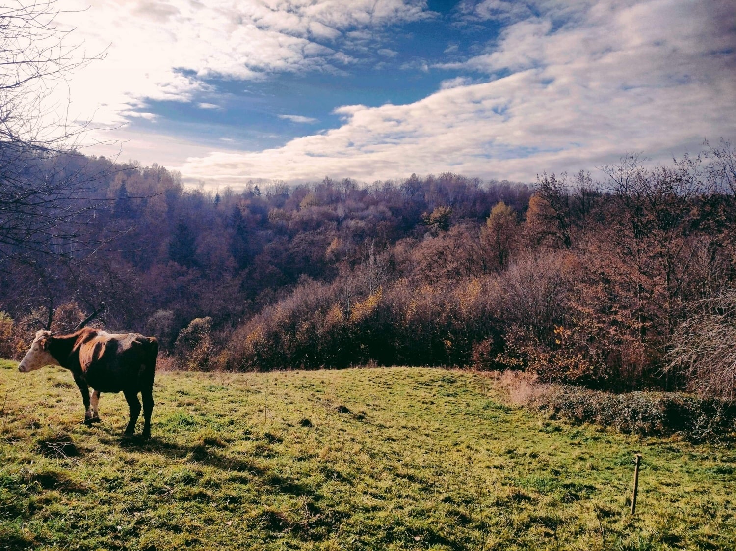 FOTO-grafia DNIA fot, Karolina Dudek  #zostanwdomu