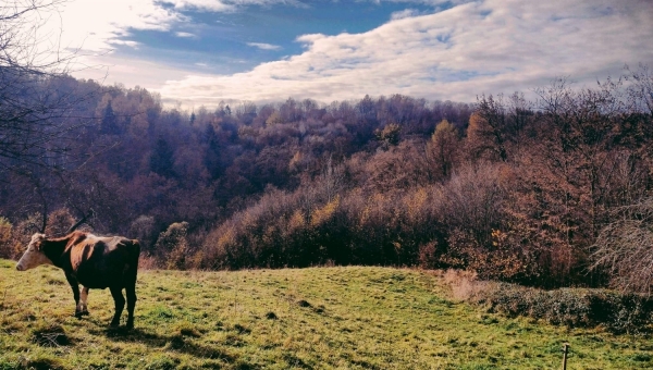 FOTO-grafia DNIA fot, Karolina Dudek  #zostanwdomu