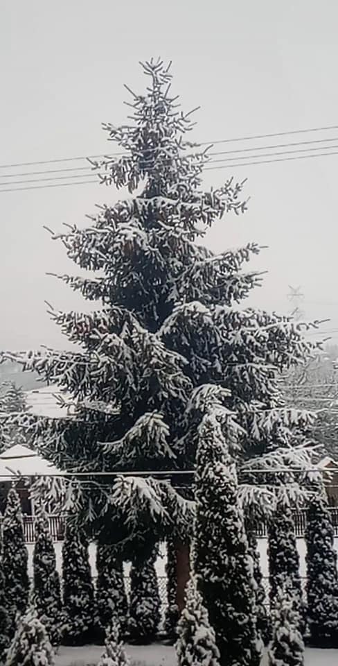 FOTO-grafia DNIA  fot Jakub Biel #zostanwdomu