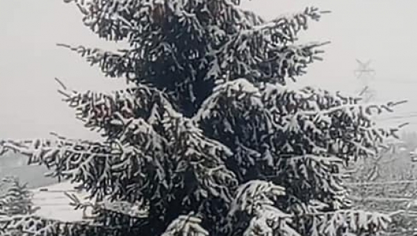 FOTO-grafia DNIA  fot Jakub Biel #zostanwdomu