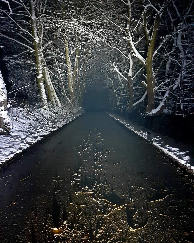 FOTO-grafia DNIA  fot Szymon Garbacz❤️ #zostanwdomu