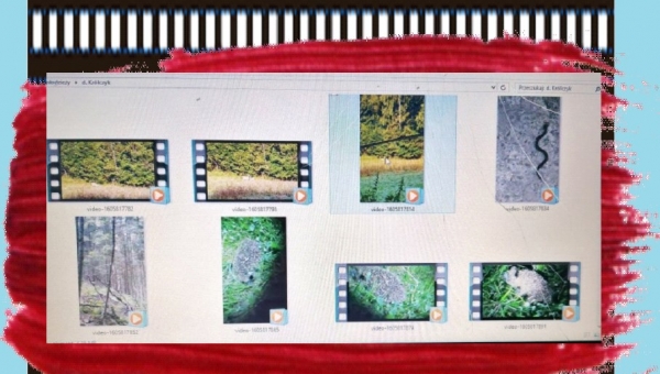 Pracownia pod gargulcem prezentuje !!! #zostanwdomu