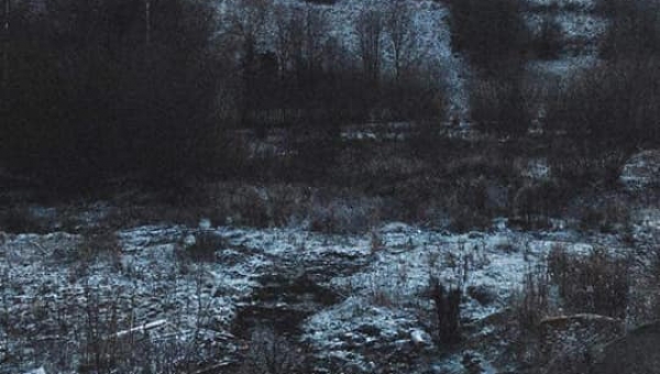 FOTO-grafia DNIA  fot Julka Duduś  #zostanwdomu