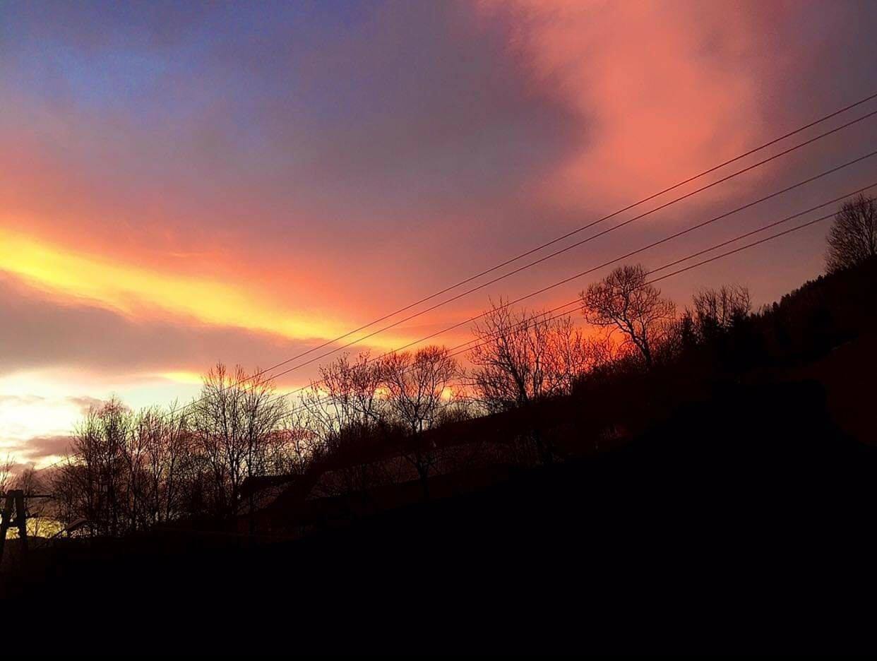 FOTO-grafia DNIA  fot  Oliwia Zasadni #zostanwdomu