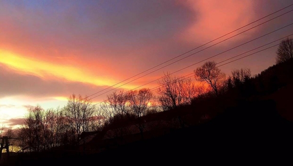 FOTO-grafia DNIA  fot  Oliwia Zasadni #zostanwdomu