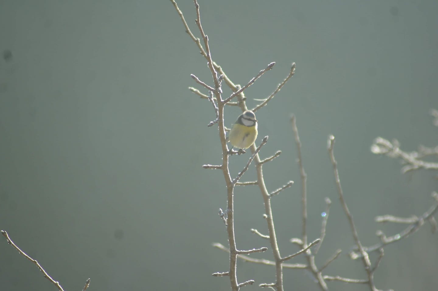 FOTO-grafia DNIA  fot  Dominika Królczyk  #zostanwdomu