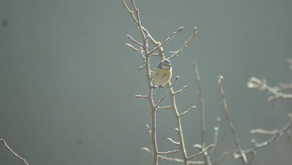 FOTO-grafia DNIA  fot  Dominika Królczyk  #zostanwdomu