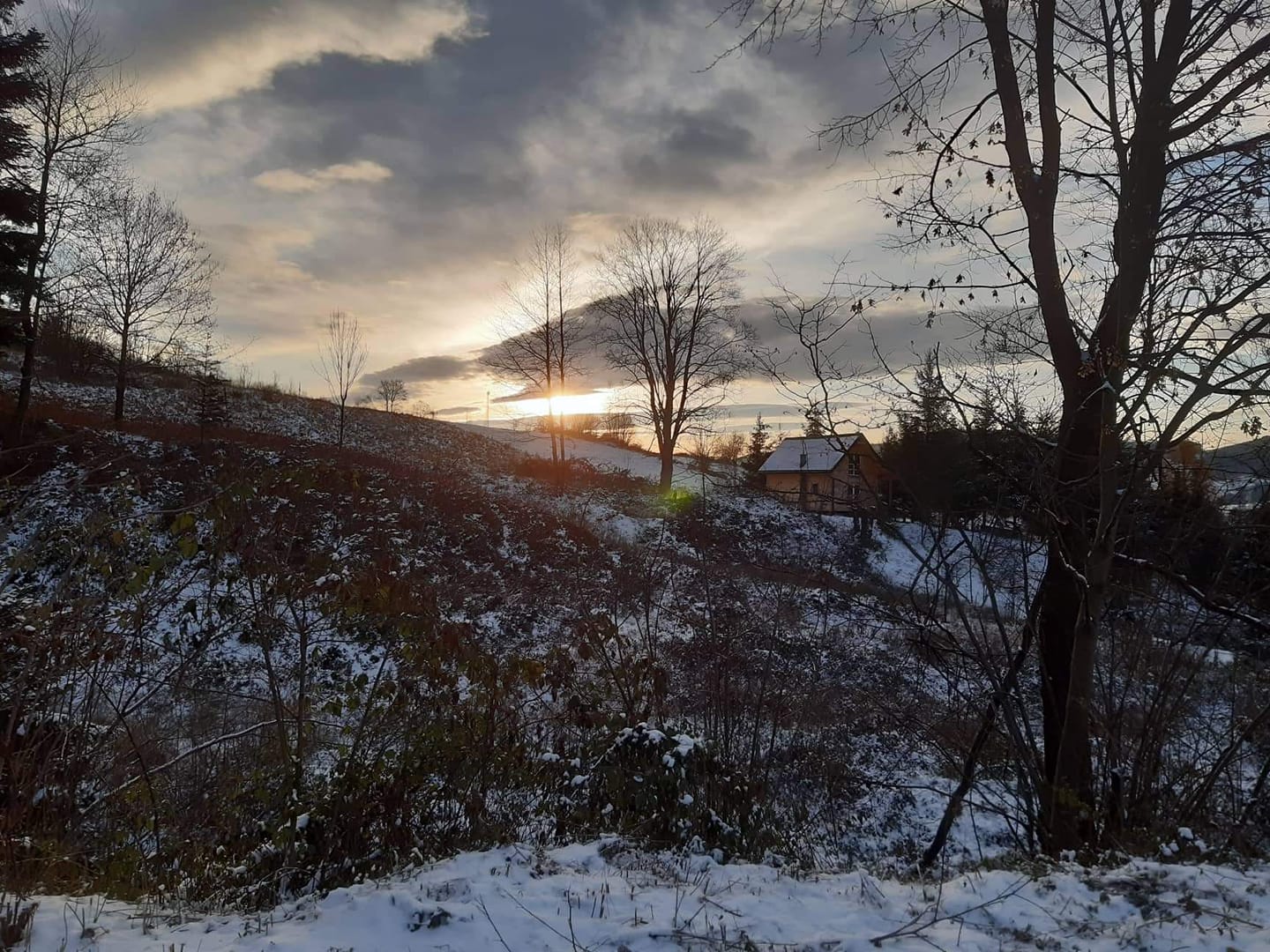 FOTO-grafia DNIA  fot  Dariusz Jerzy Gadzina