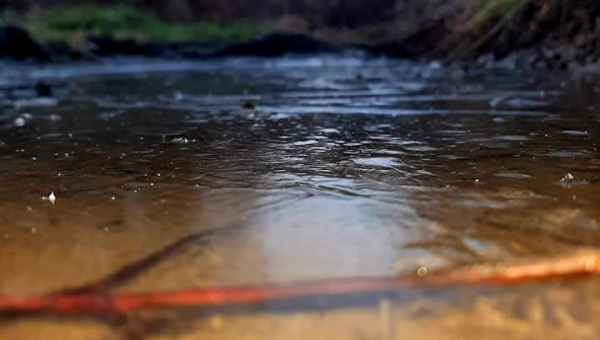 Weekendowe wyzwanie foto - wyniki 