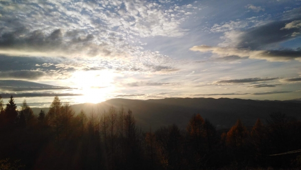 FOTO-grafia DNIA  fot Patrycja Obrzud  