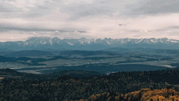 Wyniki konkursu Zdjęcie Listopada