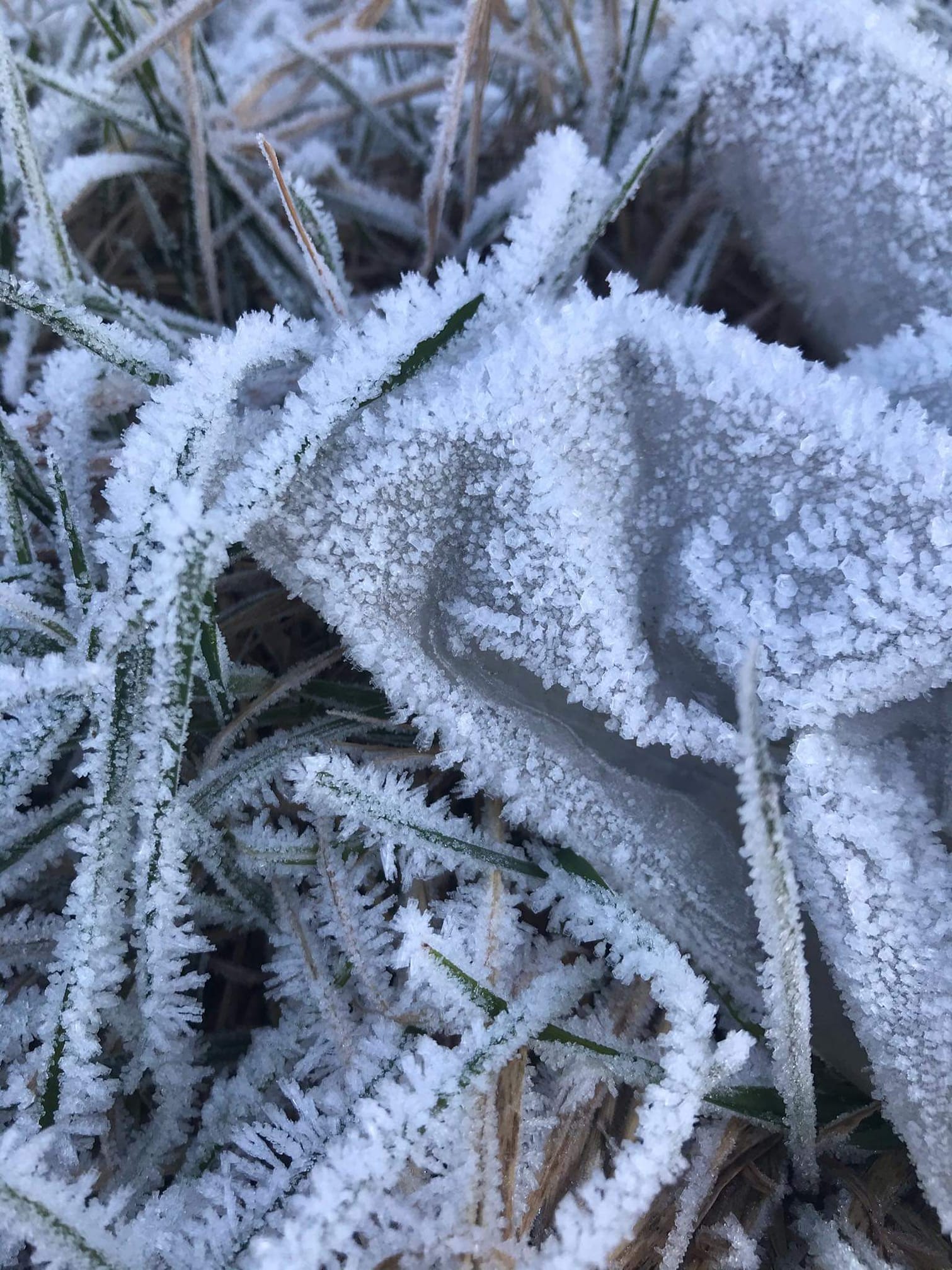 FOTO-grafia DNIA  fot  Rafał Jarząbek
