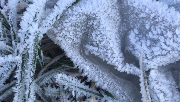 FOTO-grafia DNIA  fot  Rafał Jarząbek