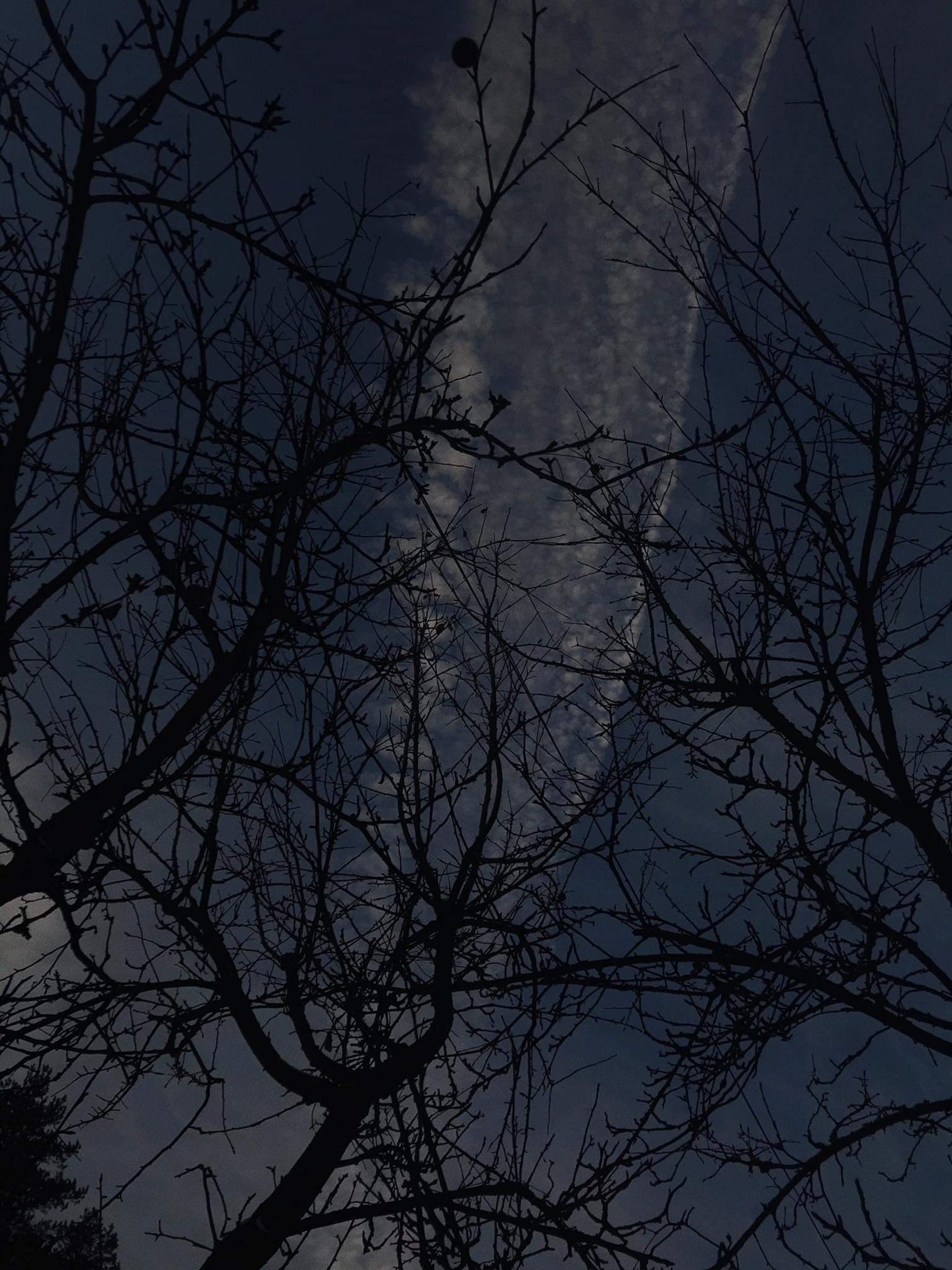 FOTO-grafia DNIA  fot. Julka Duduś  