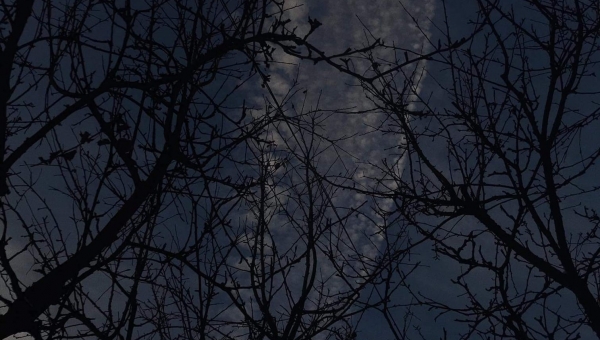 FOTO-grafia DNIA  fot. Julka Duduś  