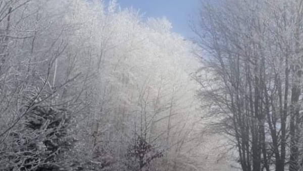 FOTO-grafia DNI  fot  pani Małgorzata Kędzierska