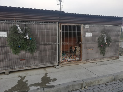 Razem na Święta cz III