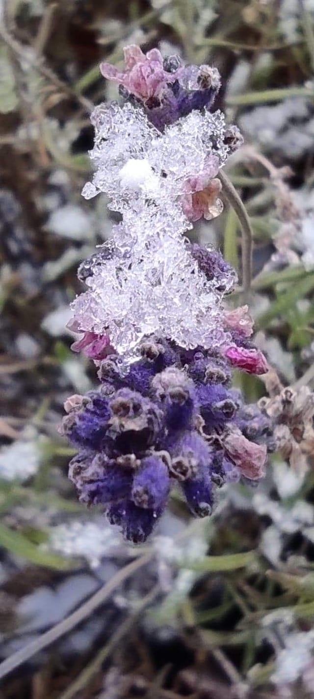 FOTO-grafia DNIA fot pan Tadeusz Ryś 