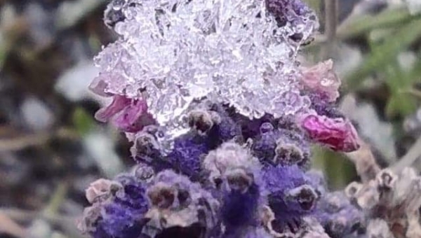 FOTO-grafia DNIA fot pan Tadeusz Ryś 