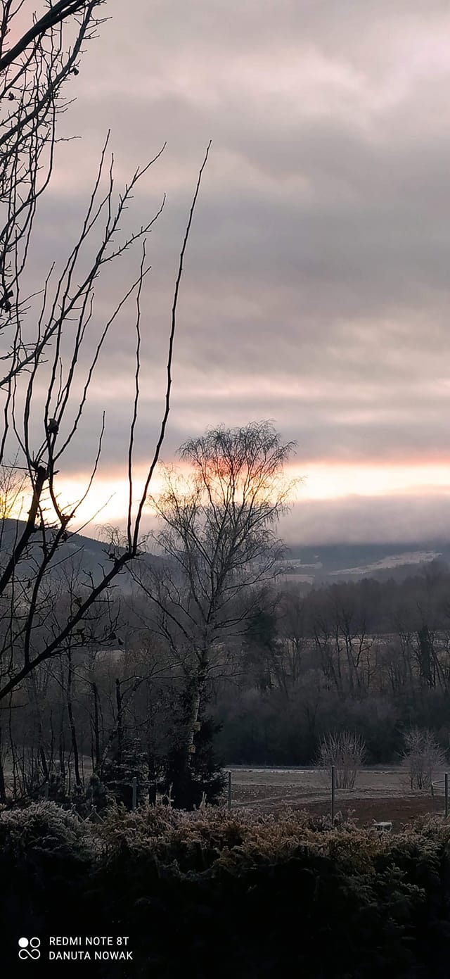 FOTO-grafia DNIA  fot. pani Danka Nowak 