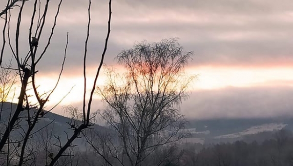 FOTO-grafia DNIA  fot. pani Danka Nowak 