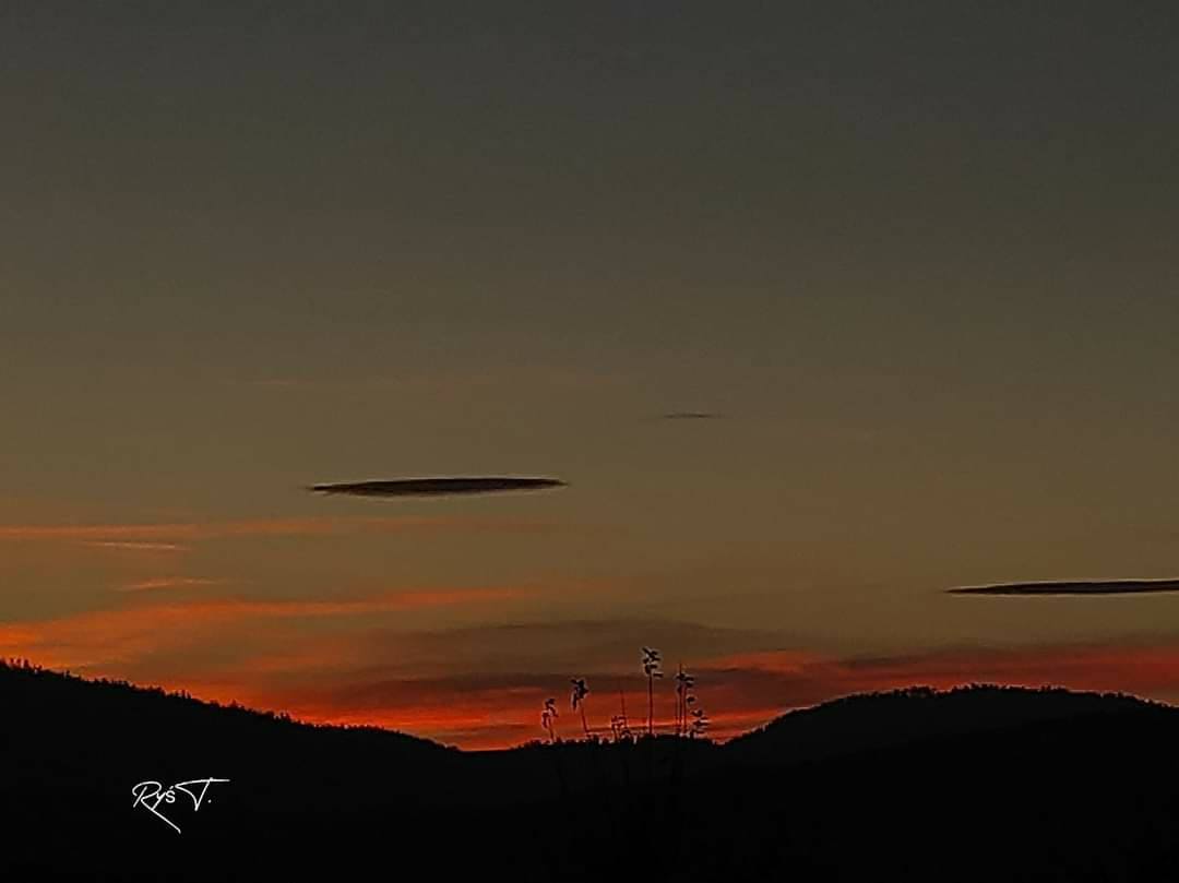 Pan Tadeusz Ryś  Wojna i pokój