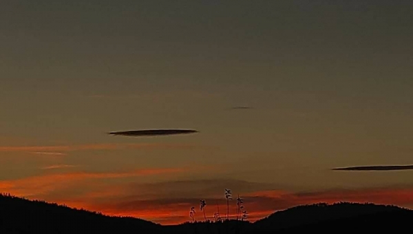 Pan Tadeusz Ryś  Wojna i pokój