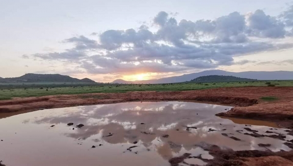 Wyniki wyzwania fotograficznego "Co Ci w sercu gra "