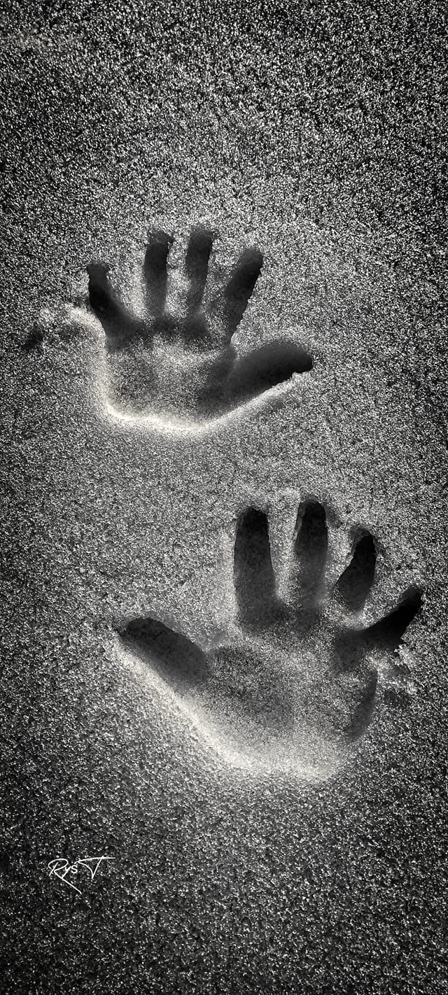 W obiektywie rodzica  - Tadeusz Ryś