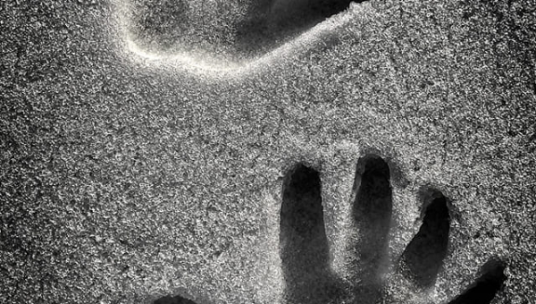 W obiektywie rodzica  - Tadeusz Ryś