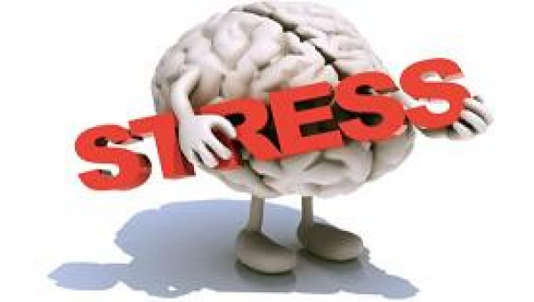 Opanuj stres przed egzaminem