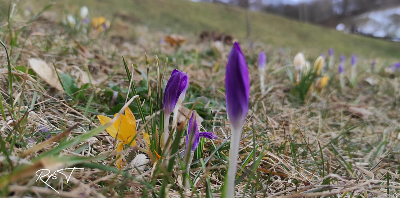 "W obiektywie rodzica" fot.Tadeusz Ryś 