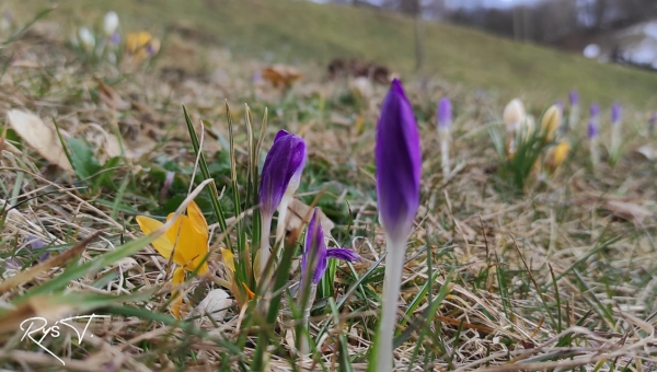 "W obiektywie rodzica" fot.Tadeusz Ryś 