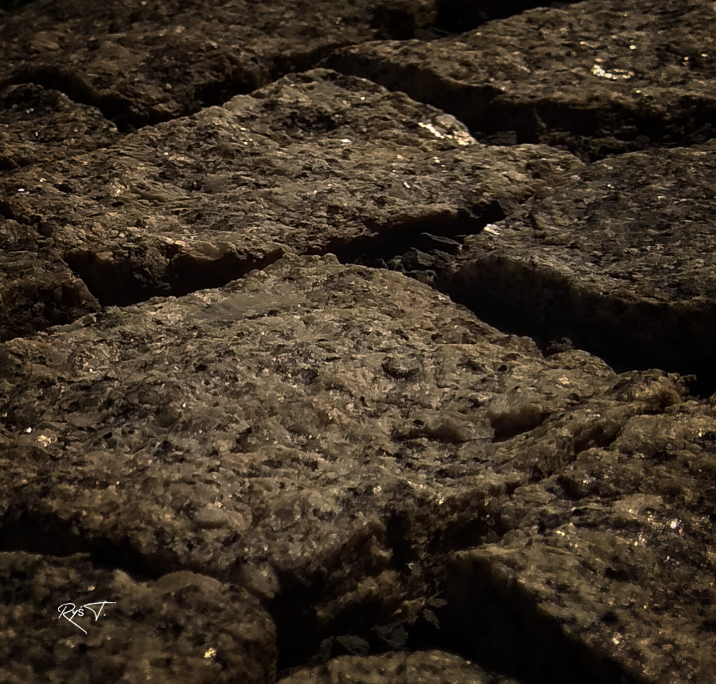 Piórem rodzica - Tadeusz Ryś