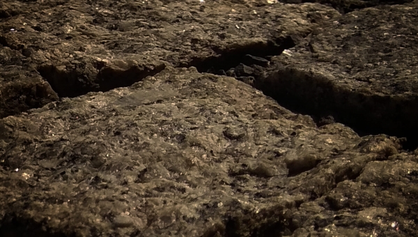 Piórem rodzica - Tadeusz Ryś